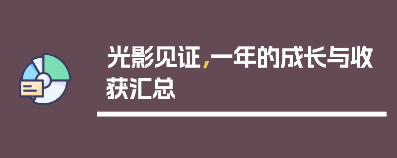 光影见证，一年的成长与收获汇总