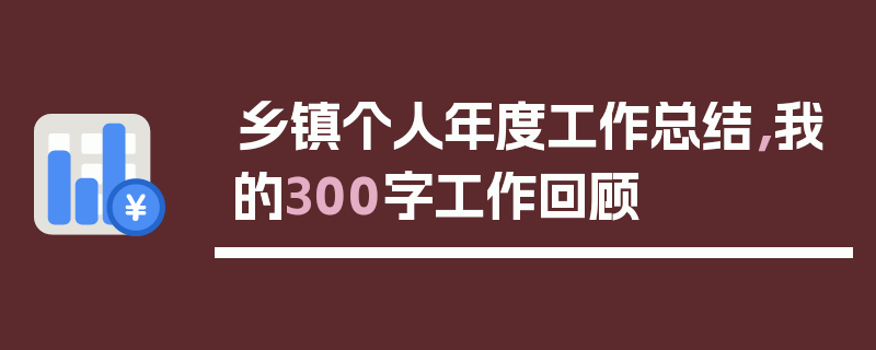 乡镇个人年度工作总结，我的300字工作回顾
