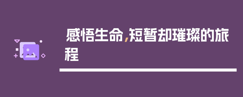 感悟生命，短暂却璀璨的旅程