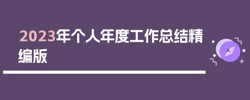 2023年个人年度工作总结精编版