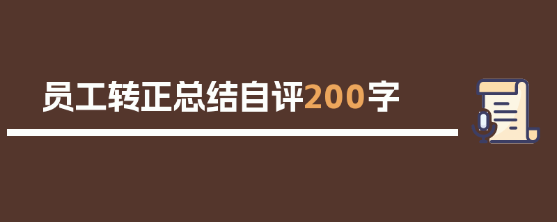 员工转正总结自评200字