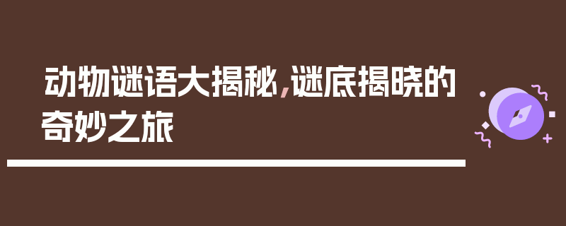动物谜语大揭秘，谜底揭晓的奇妙之旅