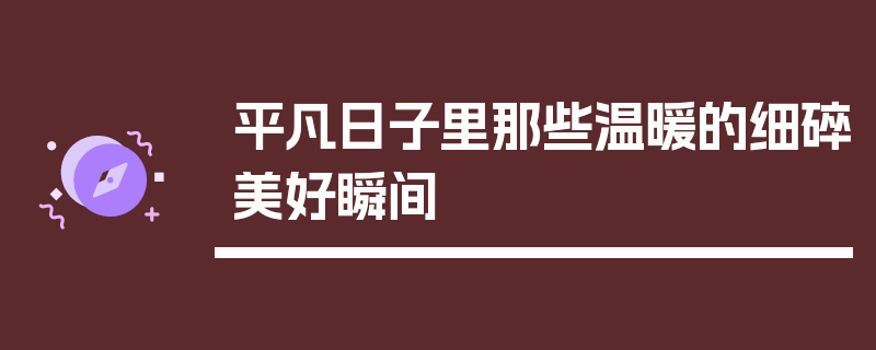 平凡日子里那些温暖的细碎美好瞬间