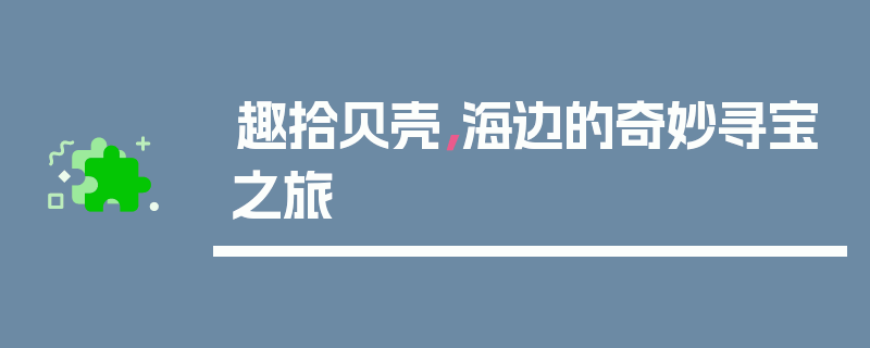 趣拾贝壳，海边的奇妙寻宝之旅