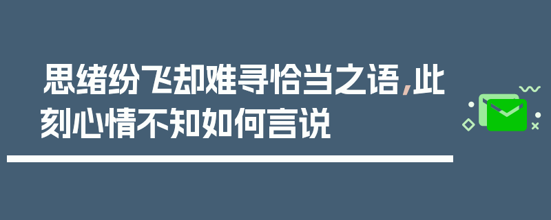 思绪纷飞却难寻恰当之语，此刻心情不知如何言说