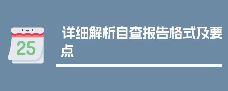 详细解析自查报告格式及要点