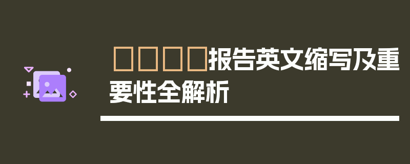 📄报告英文缩写及重要性全解析