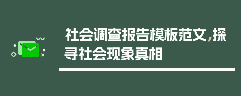 社会调查报告模板范文，探寻社会现象真相