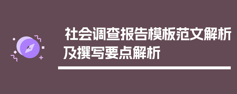 社会调查报告模板范文解析及撰写要点解析