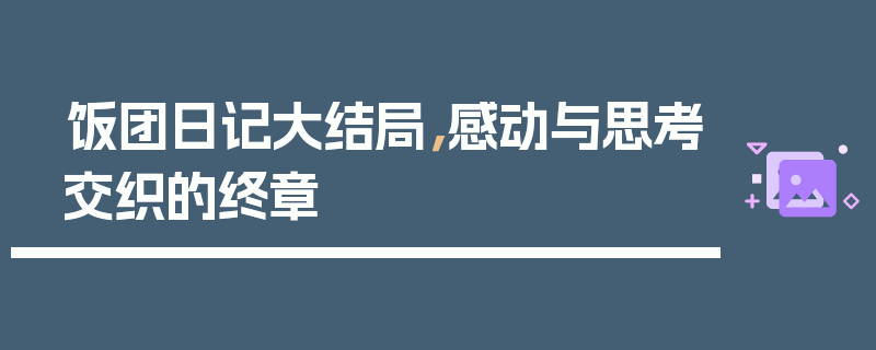 饭团日记大结局，感动与思考交织的终章