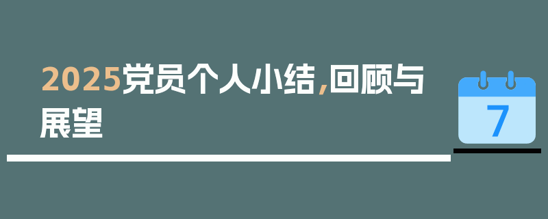 2025党员个人小结，回顾与展望