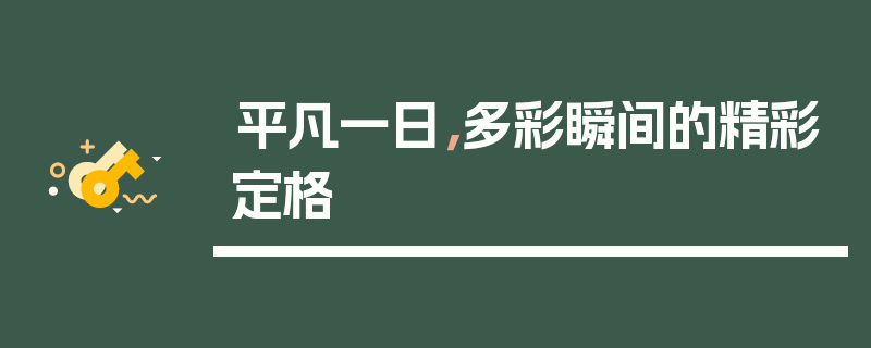 平凡一日,多彩瞬间的精彩定格