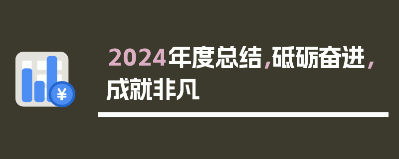 2024年度总结，砥砺奋进，成就非凡