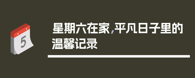 星期六在家，平凡日子里的温馨记录