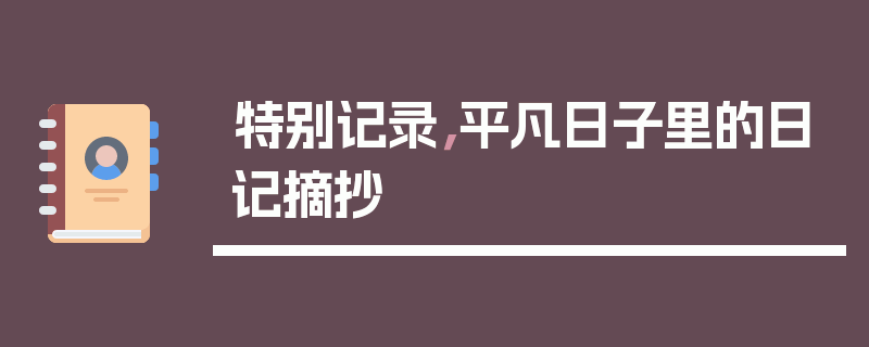 特别记录，平凡日子里的日记摘抄