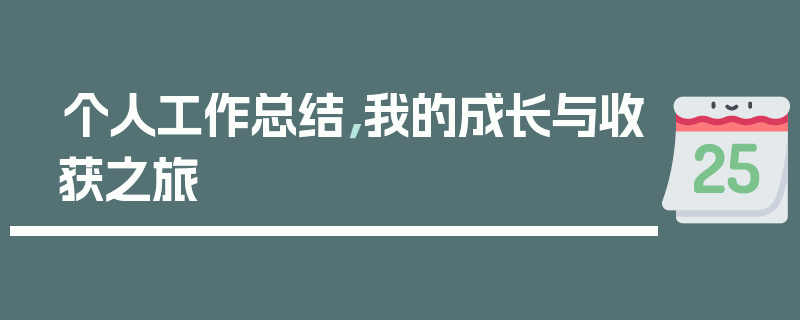 个人工作总结，我的成长与收获之旅