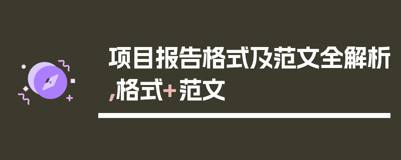 项目报告格式及范文全解析，格式+范文