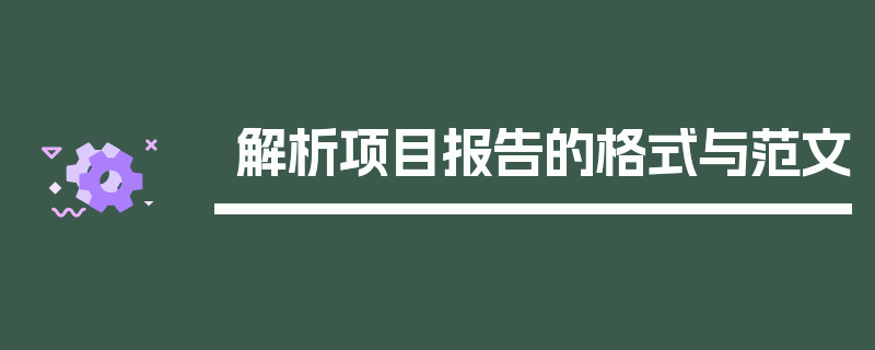 解析项目报告的格式与范文