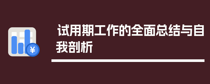试用期工作的全面总结与自我剖析