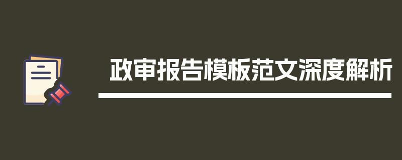 政审报告模板范文深度解析