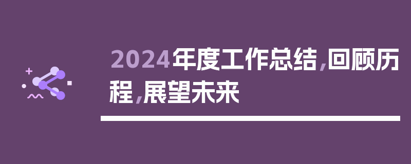 2024年度工作总结，回顾历程，展望未来
