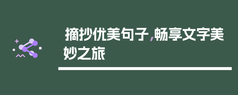 摘抄优美句子，畅享文字美妙之旅